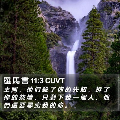 羅 馬 書 11:3 CUVT Bible Verse Image