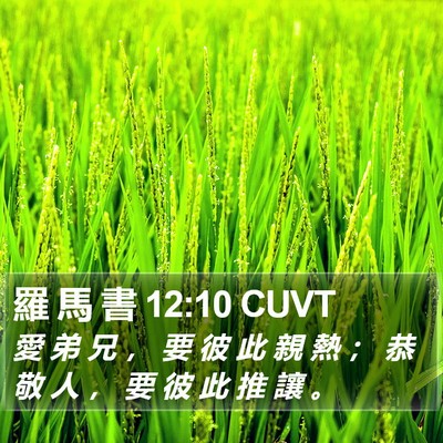 羅 馬 書 12:10 CUVT Bible Verse Image