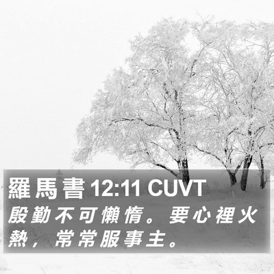 羅 馬 書 12:11 CUVT Bible Verse Image