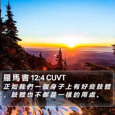 羅 馬 書 12:4 CUVT Bible Verse Image