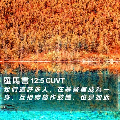 羅 馬 書 12:5 CUVT Bible Verse Image