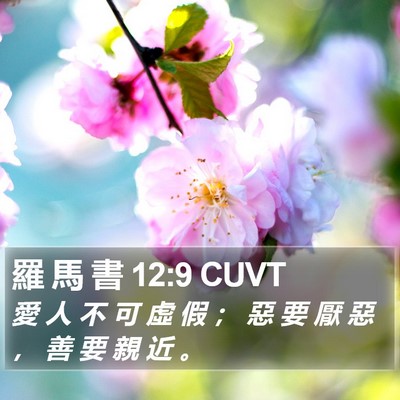 羅 馬 書 12:9 CUVT Bible Verse Image