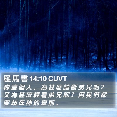 羅 馬 書 14:10 CUVT Bible Verse Image