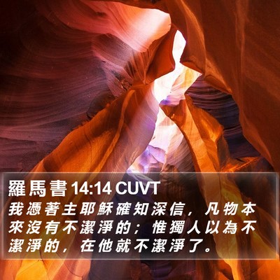 羅 馬 書 14:14 CUVT Bible Verse Image