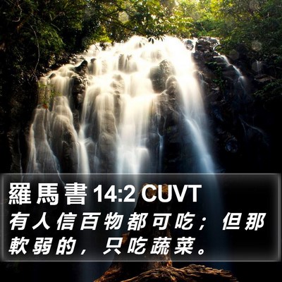 羅 馬 書 14:2 CUVT Bible Verse Image