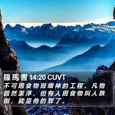 羅 馬 書 14:20 CUVT Bible Verse Image