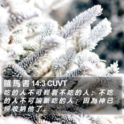 羅 馬 書 14:3 CUVT Bible Verse Image