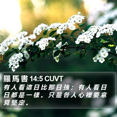 羅 馬 書 14:5 CUVT Bible Verse Image