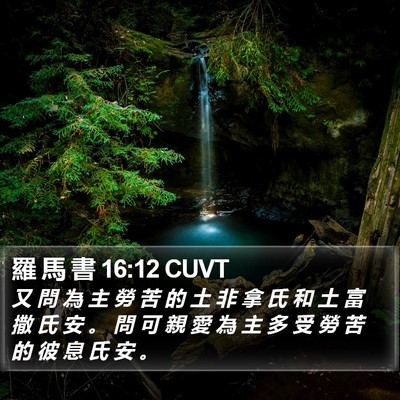 羅 馬 書 16:12 CUVT Bible Verse Image