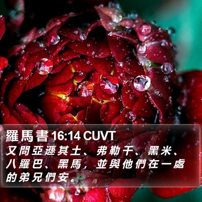 羅 馬 書 16:14 CUVT Bible Verse Image