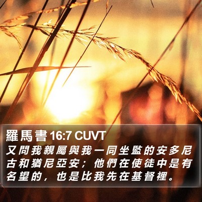 羅 馬 書 16:7 CUVT Bible Verse Image
