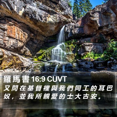 羅 馬 書 16:9 CUVT Bible Verse Image
