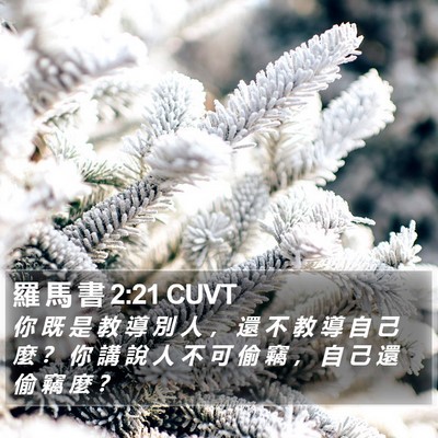 羅 馬 書 2:21 CUVT Bible Verse Image