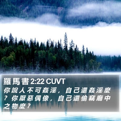 羅 馬 書 2:22 CUVT Bible Verse Image
