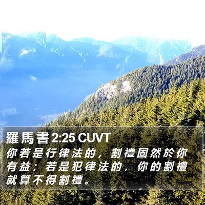 羅 馬 書 2:25 CUVT Bible Verse Image