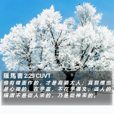 羅 馬 書 2:29 CUVT Bible Verse Image