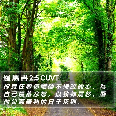 羅 馬 書 2:5 CUVT Bible Verse Image