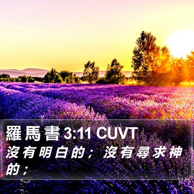 羅 馬 書 3:11 CUVT Bible Verse Image
