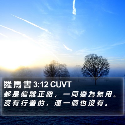 羅 馬 書 3:12 CUVT Bible Verse Image