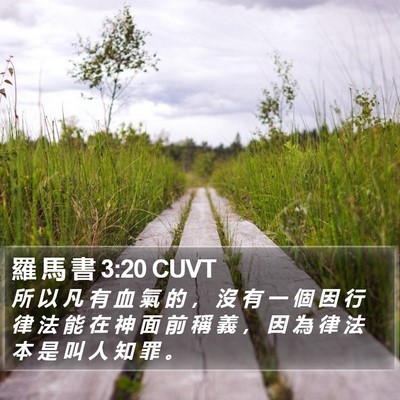 羅 馬 書 3:20 CUVT Bible Verse Image