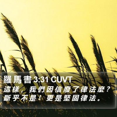 羅 馬 書 3:31 CUVT Bible Verse Image