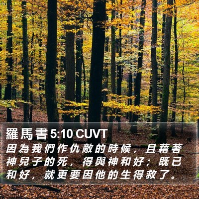 羅 馬 書 5:10 CUVT Bible Verse Image