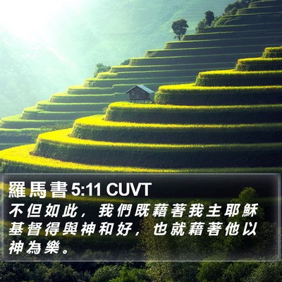 羅 馬 書 5:11 CUVT Bible Verse Image