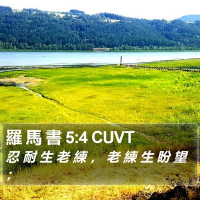 羅 馬 書 5:4 CUVT Bible Verse Image