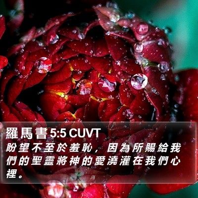 羅 馬 書 5:5 CUVT Bible Verse Image