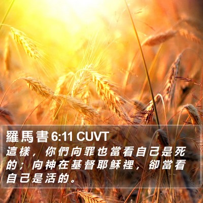 羅 馬 書 6:11 CUVT Bible Verse Image