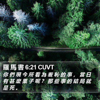 羅 馬 書 6:21 CUVT Bible Verse Image