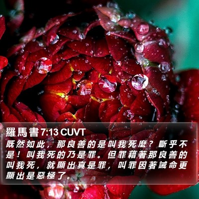羅 馬 書 7:13 CUVT Bible Verse Image