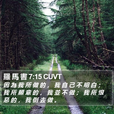 羅 馬 書 7:15 CUVT Bible Verse Image