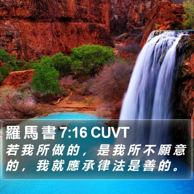 羅 馬 書 7:16 CUVT Bible Verse Image