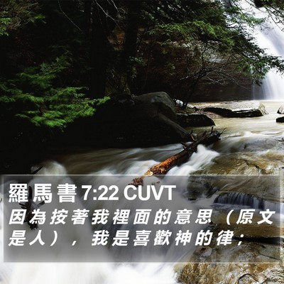 羅 馬 書 7:22 CUVT Bible Verse Image