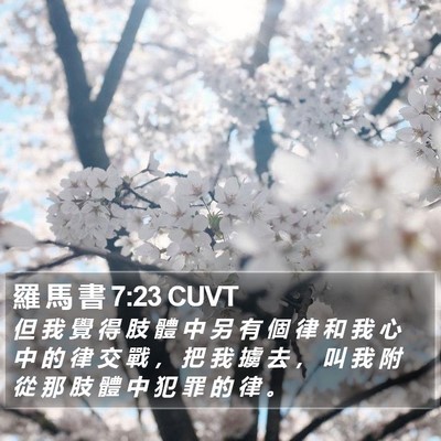 羅 馬 書 7:23 CUVT Bible Verse Image
