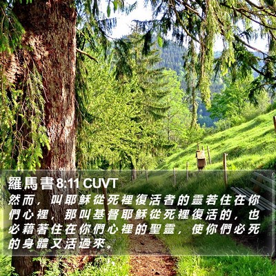 羅 馬 書 8:11 CUVT Bible Verse Image
