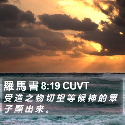 羅 馬 書 8:19 CUVT Bible Verse Image