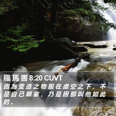 羅 馬 書 8:20 CUVT Bible Verse Image