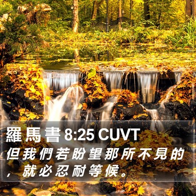 羅 馬 書 8:25 CUVT Bible Verse Image