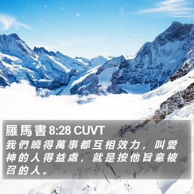 羅 馬 書 8:28 CUVT Bible Verse Image