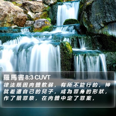 羅 馬 書 8:3 CUVT Bible Verse Image