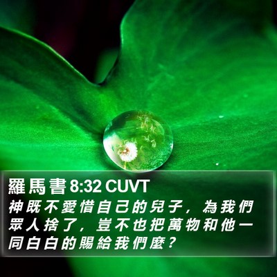 羅 馬 書 8:32 CUVT Bible Verse Image
