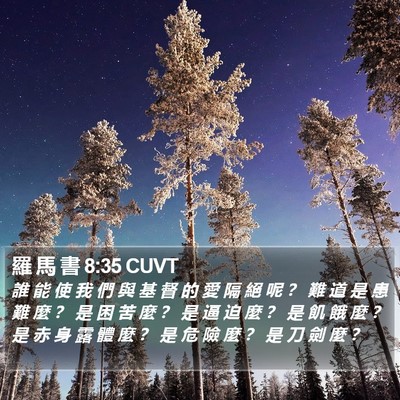 羅 馬 書 8:35 CUVT Bible Verse Image