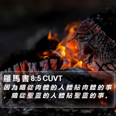 羅 馬 書 8:5 CUVT Bible Verse Image