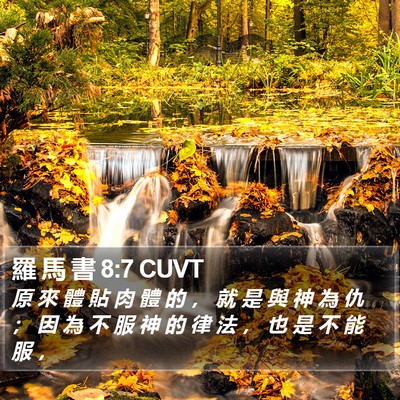 羅 馬 書 8:7 CUVT Bible Verse Image