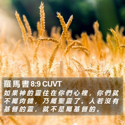 羅 馬 書 8:9 CUVT Bible Verse Image