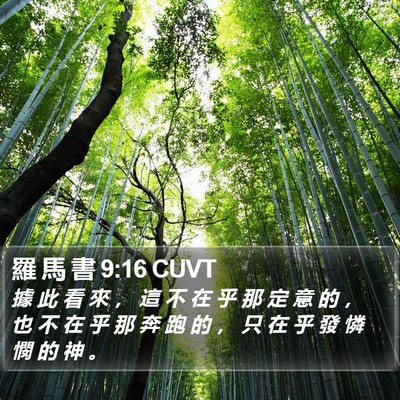 羅 馬 書 9:16 CUVT Bible Verse Image