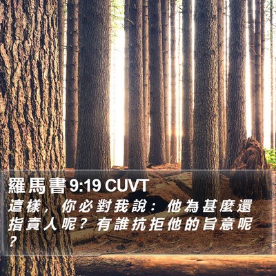 羅 馬 書 9:19 CUVT Bible Verse Image