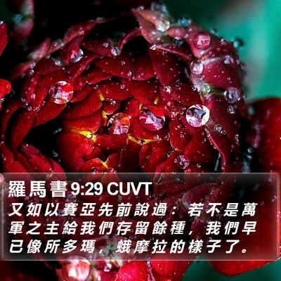 羅 馬 書 9:29 CUVT Bible Verse Image